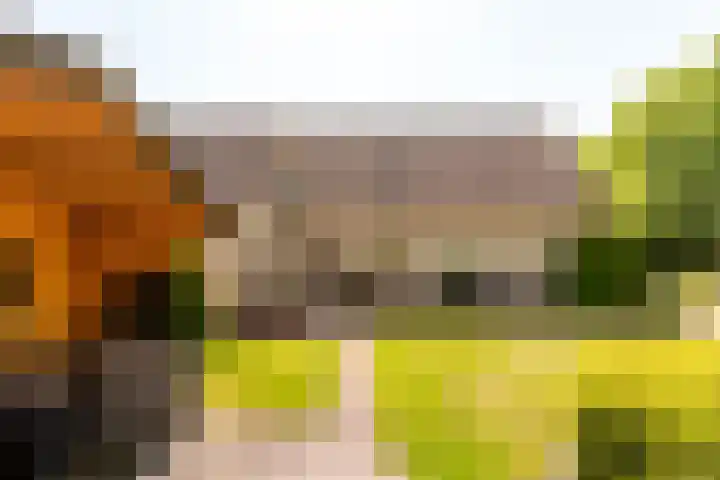 De Weitas 5 Tollebeek thumbnail 44