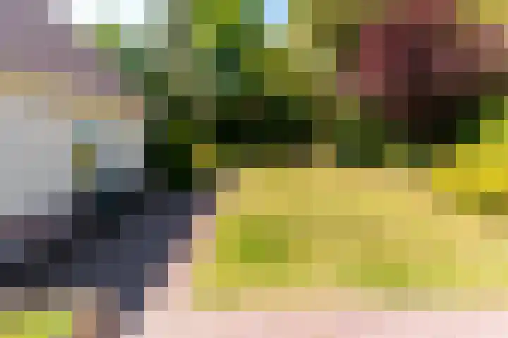De Weitas 5 Tollebeek thumbnail 45