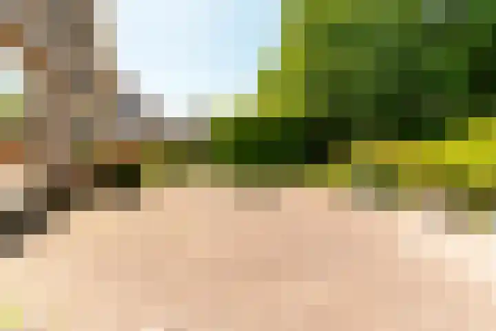 De Weitas 5 Tollebeek thumbnail 47