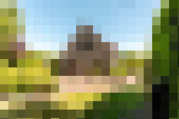 De Weitas 5 Tollebeek thumbnail 49