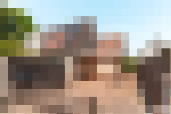 De Weitas 5 Tollebeek thumbnail 50