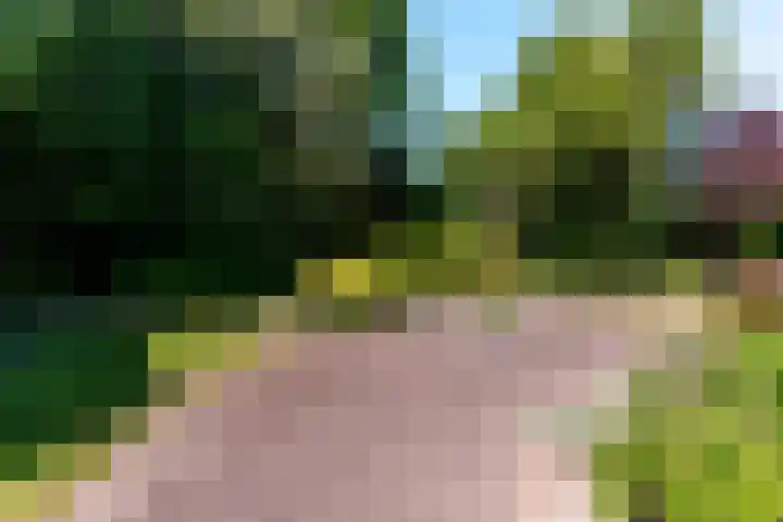 De Weitas 5 Tollebeek thumbnail 51