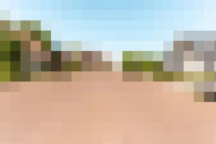 De Weitas 5 Tollebeek thumbnail 54