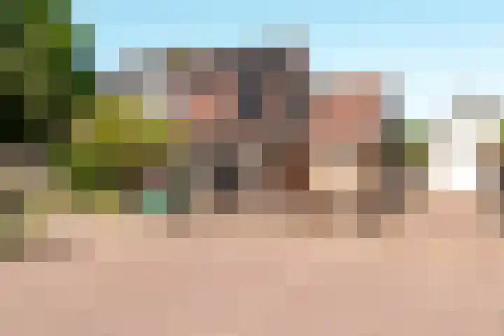 De Weitas 5 Tollebeek thumbnail 55