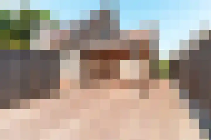 De Weitas 5 Tollebeek thumbnail 56