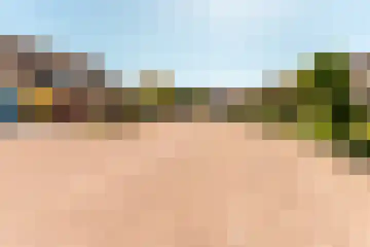 De Weitas 5 Tollebeek thumbnail 57