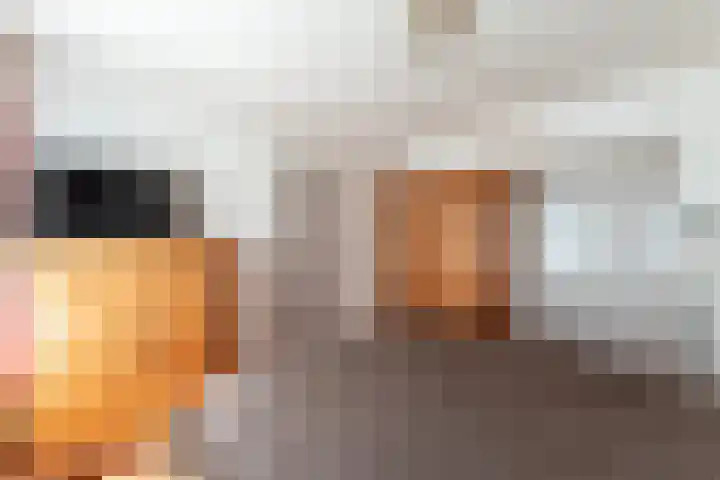De Weitas 5 Tollebeek thumbnail 8