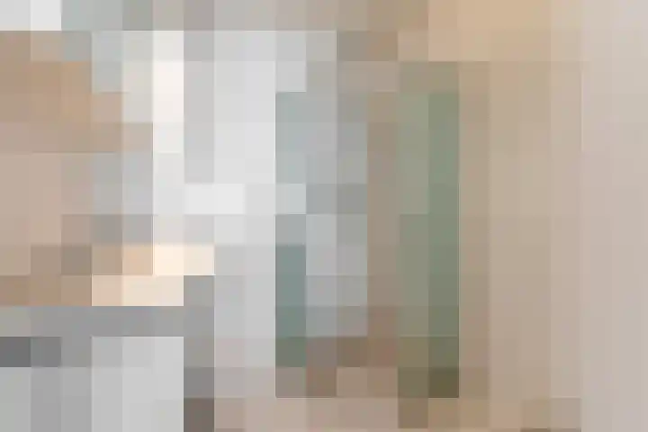 De Weitas 5 Tollebeek thumbnail 9