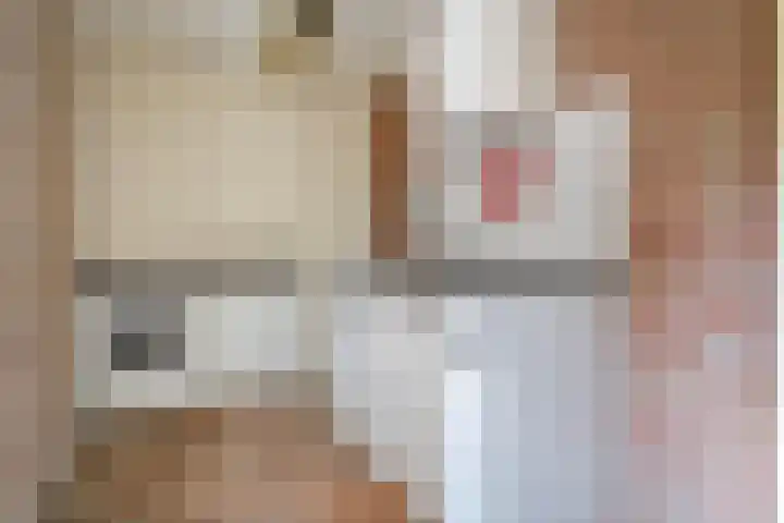 De Weitjes 56 Dalfsen thumbnail 17