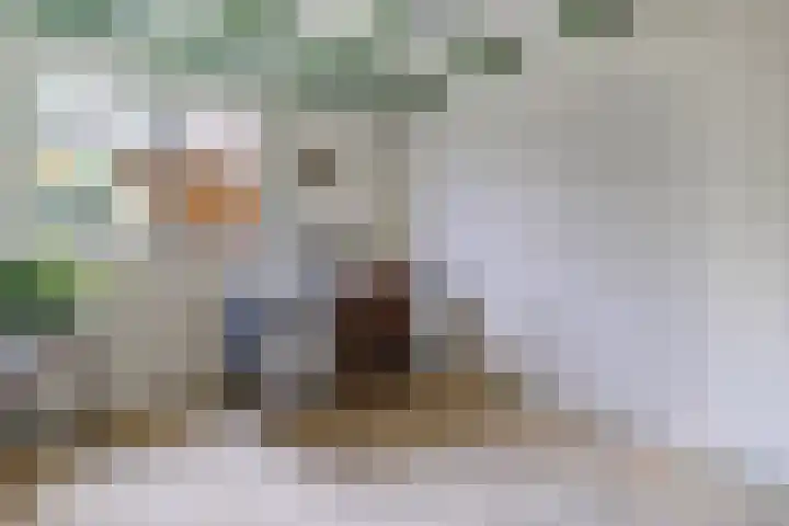 De Weitjes 56 Dalfsen thumbnail 19