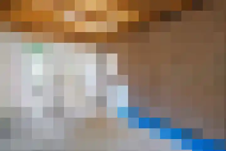 De Weitjes 56 Dalfsen thumbnail 22