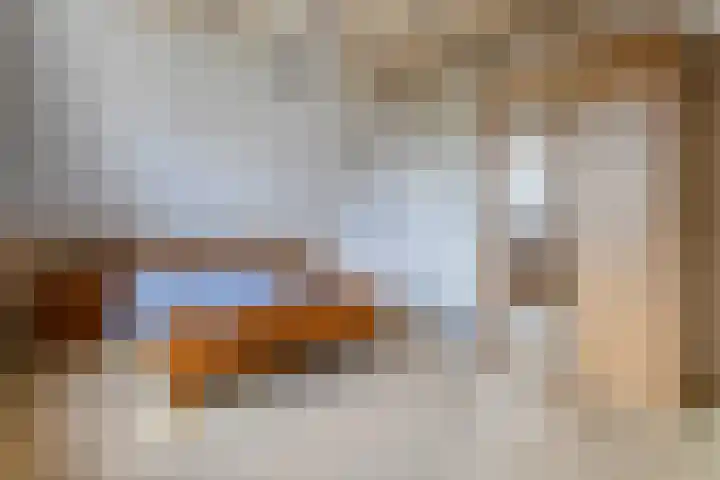 De Weitjes 56 Dalfsen thumbnail 25