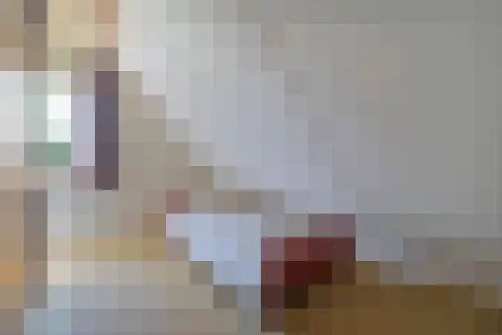 De Weitjes 56 Dalfsen thumbnail 26