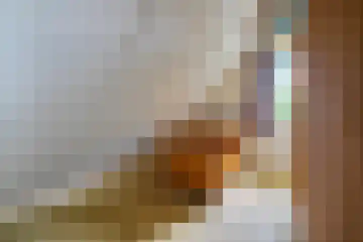 De Weitjes 56 Dalfsen thumbnail 28