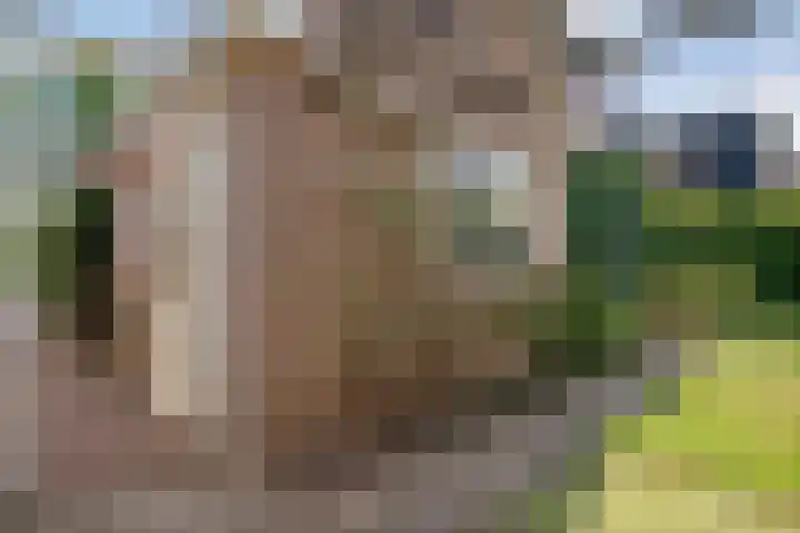 De Weitjes 56 Dalfsen thumbnail 35