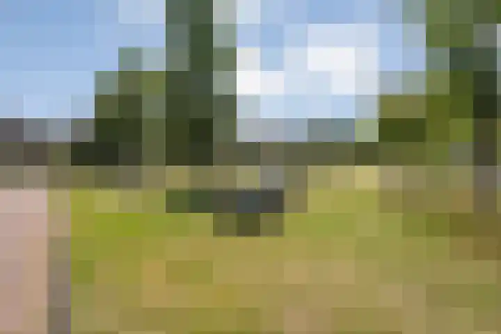 De Weitjes 56 Dalfsen thumbnail 38