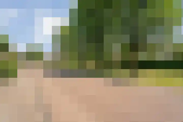 De Weitjes 56 Dalfsen thumbnail 39