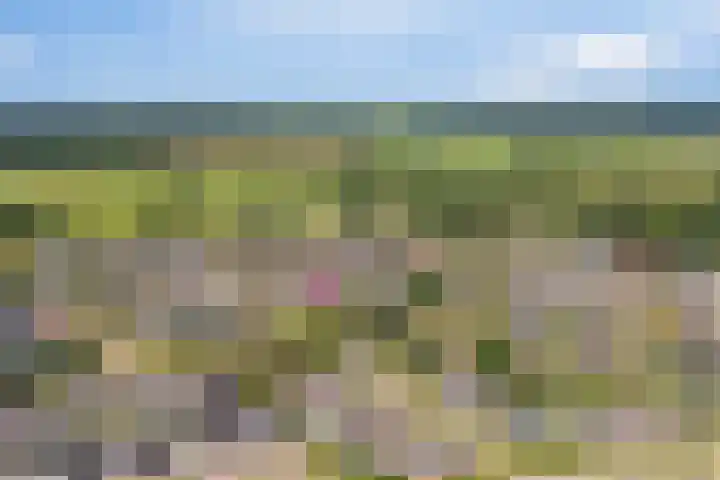 De Weitjes 56 Dalfsen thumbnail 4