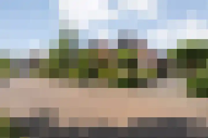 De Weitjes 56 Dalfsen thumbnail 41