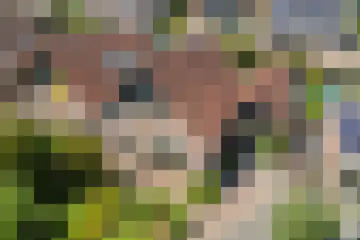 De Weitjes 56 Dalfsen thumbnail 43