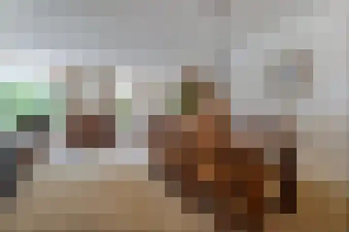 De Weitjes 56 Dalfsen thumbnail 5