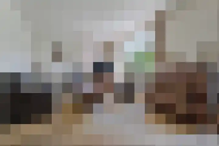 De Weitjes 56 Dalfsen thumbnail 6