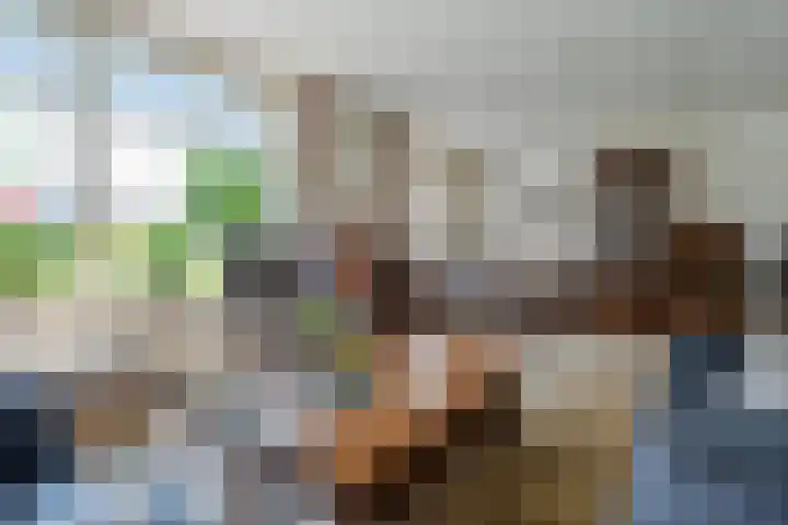 De Weitjes 56 Dalfsen thumbnail 8