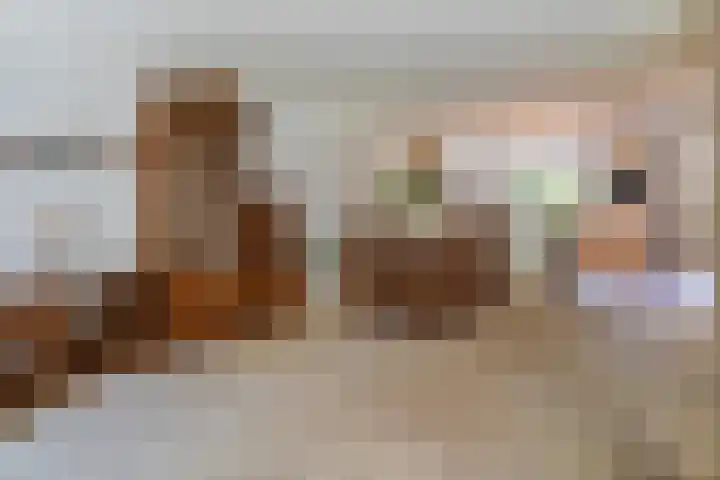 De Weitjes 56 Dalfsen thumbnail 9