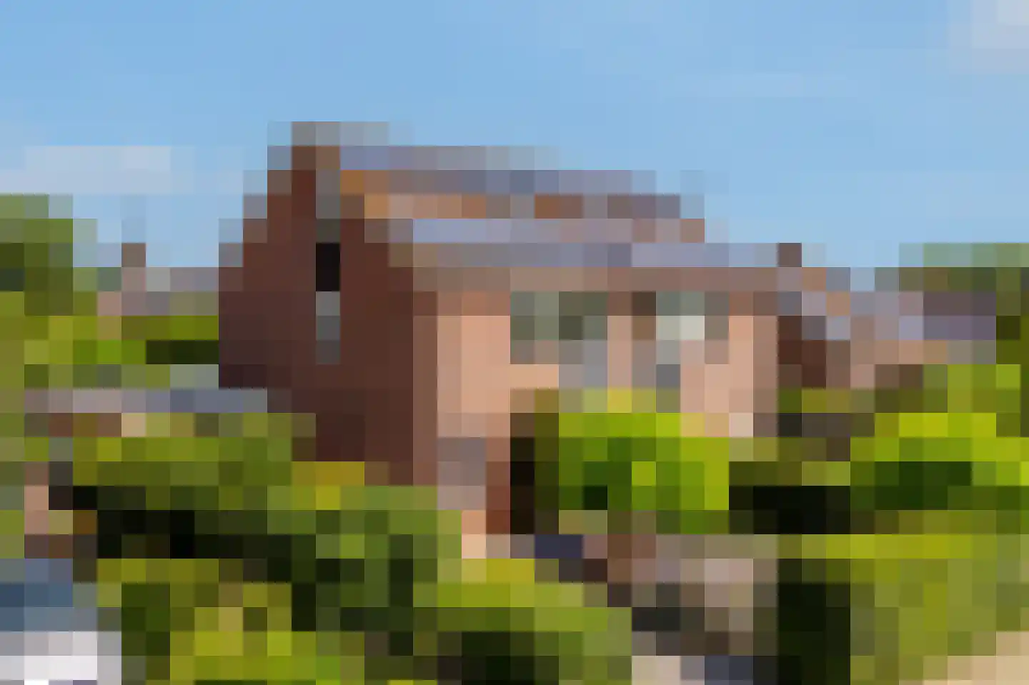 De Weitjes 8 Dalfsen