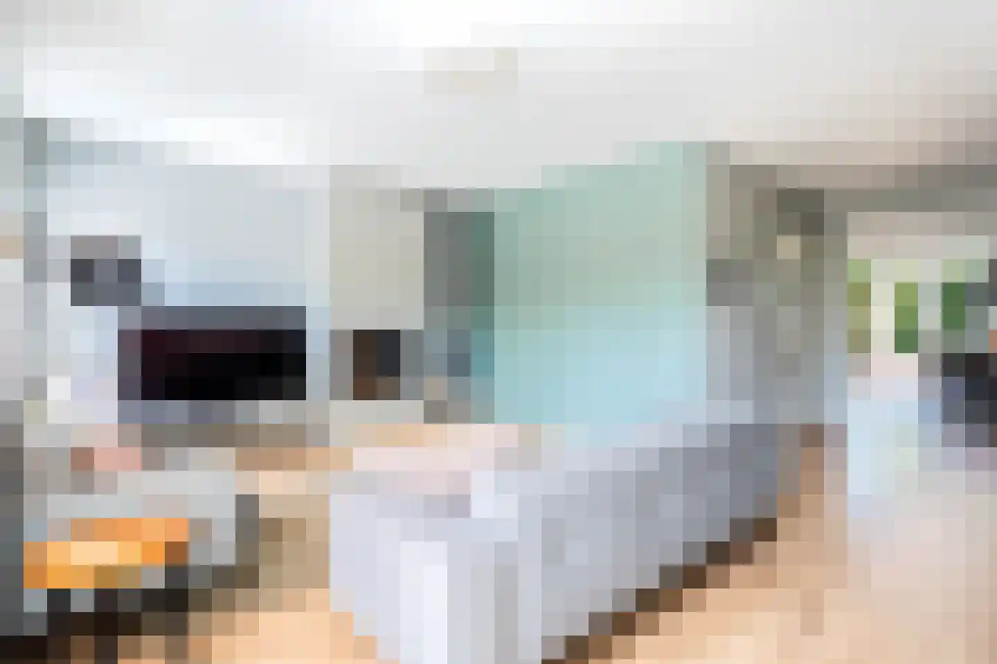 De Weitjes 8 Dalfsen thumbnail 10