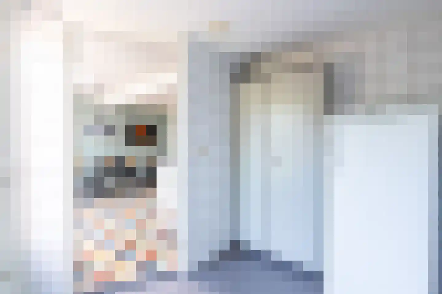 De Weitjes 8 Dalfsen thumbnail 19