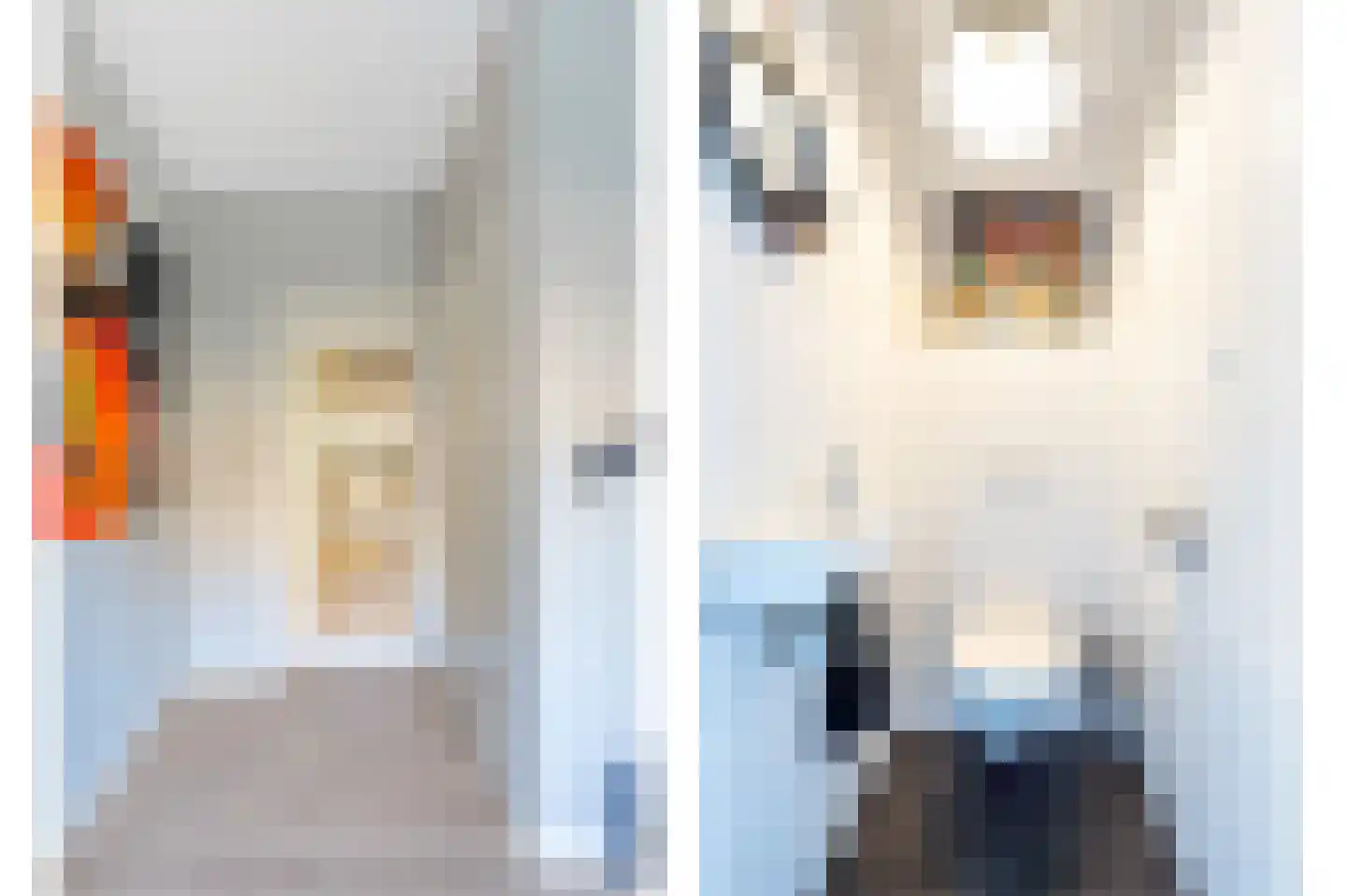 De Weitjes 8 Dalfsen thumbnail 21