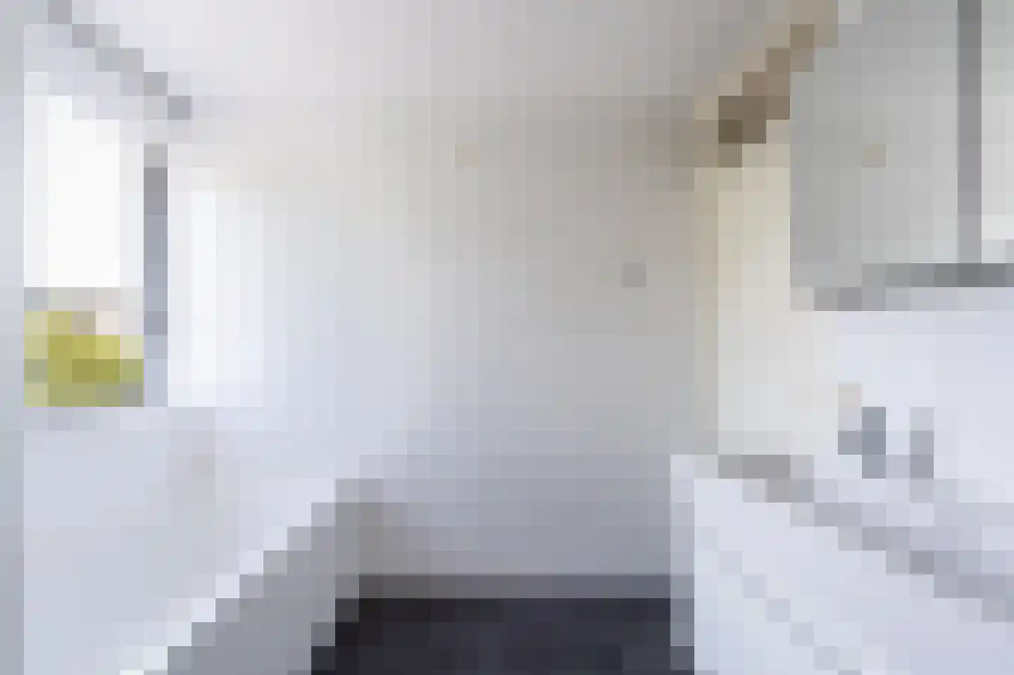 De Weitjes 8 Dalfsen thumbnail 29