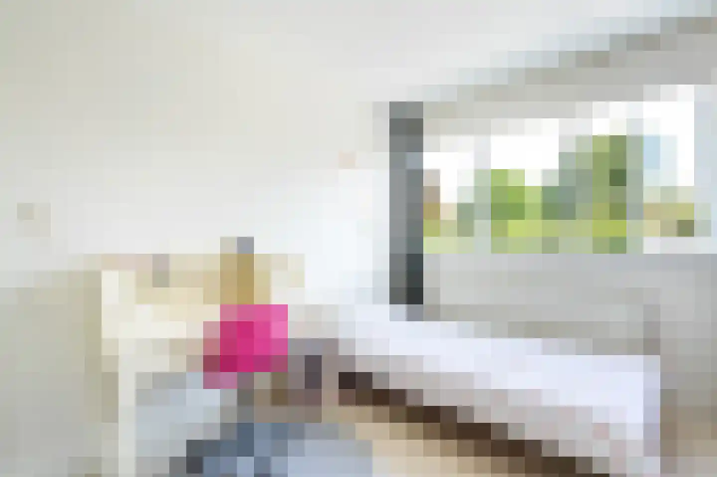 De Weitjes 8 Dalfsen thumbnail 30