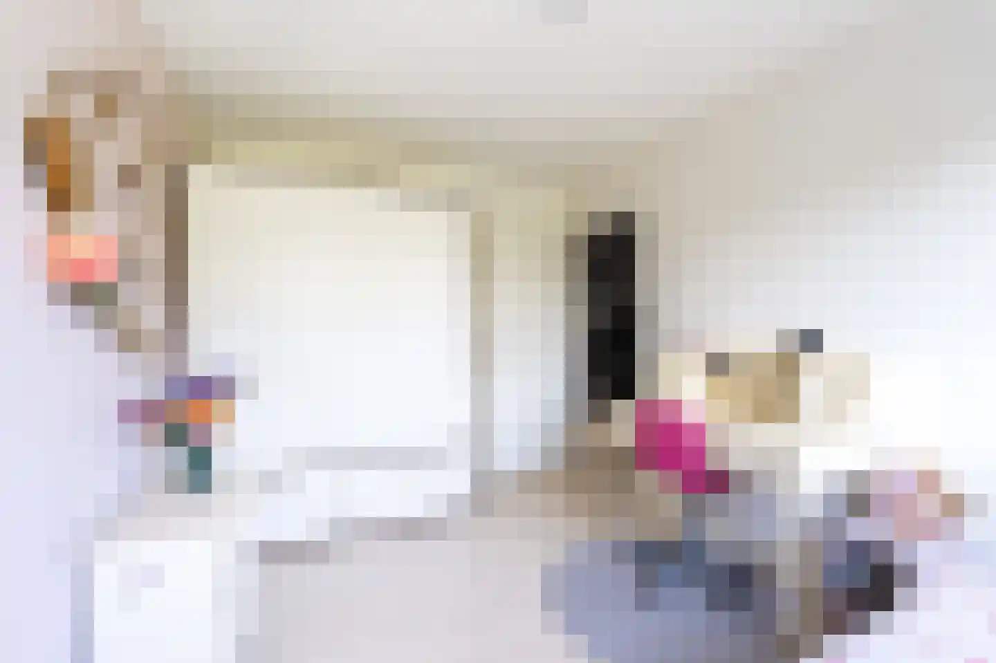 De Weitjes 8 Dalfsen thumbnail 31