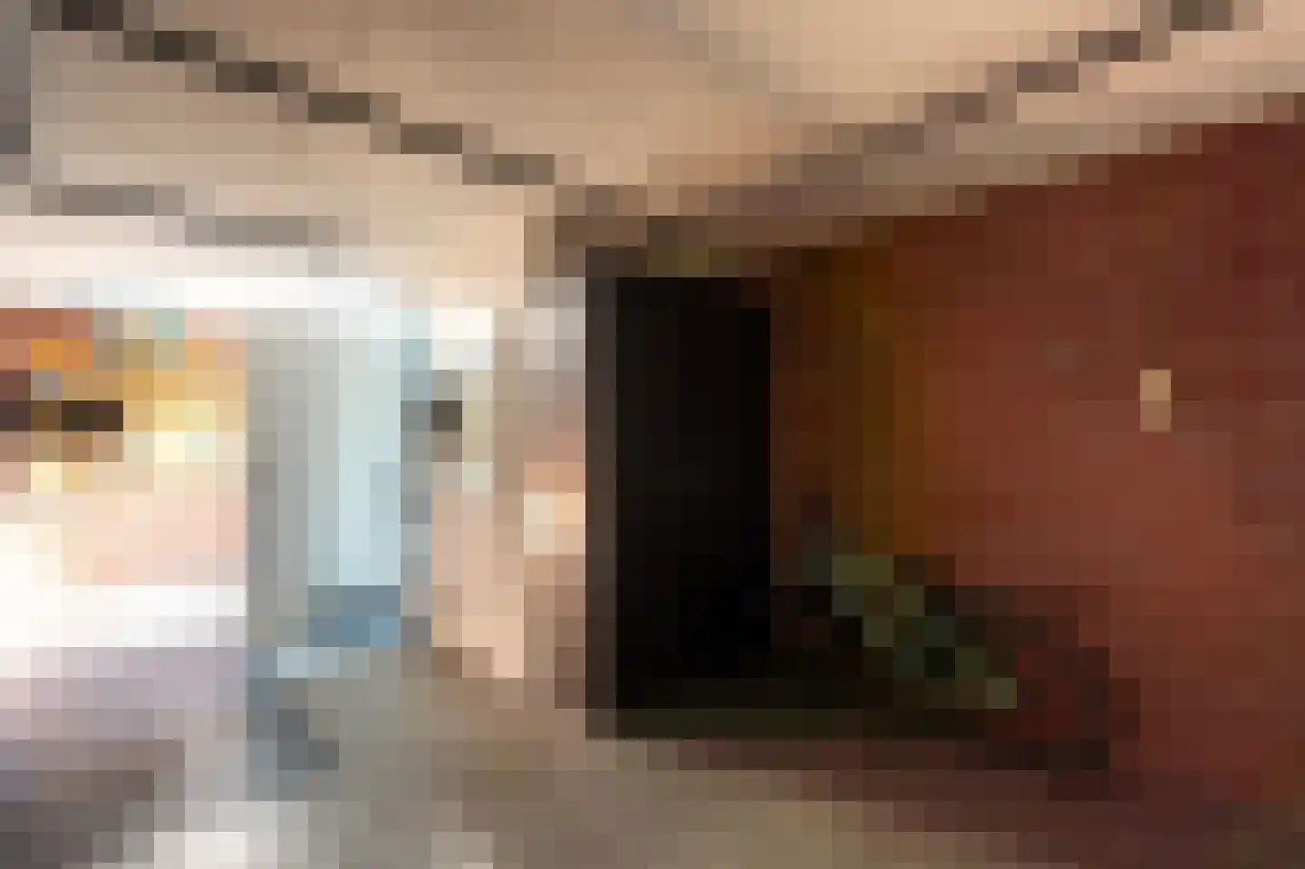 De Weitjes 8 Dalfsen thumbnail 38