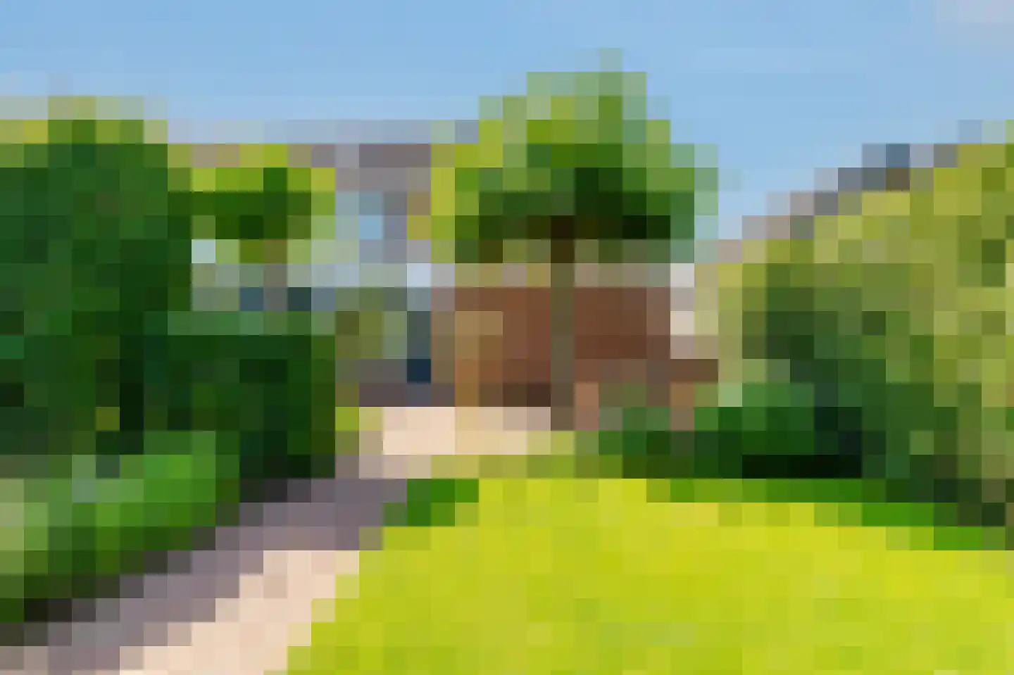 De Weitjes 8 Dalfsen thumbnail 40