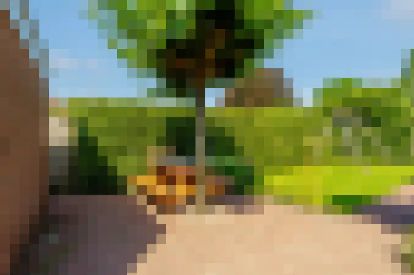 De Weitjes 8 Dalfsen thumbnail 43