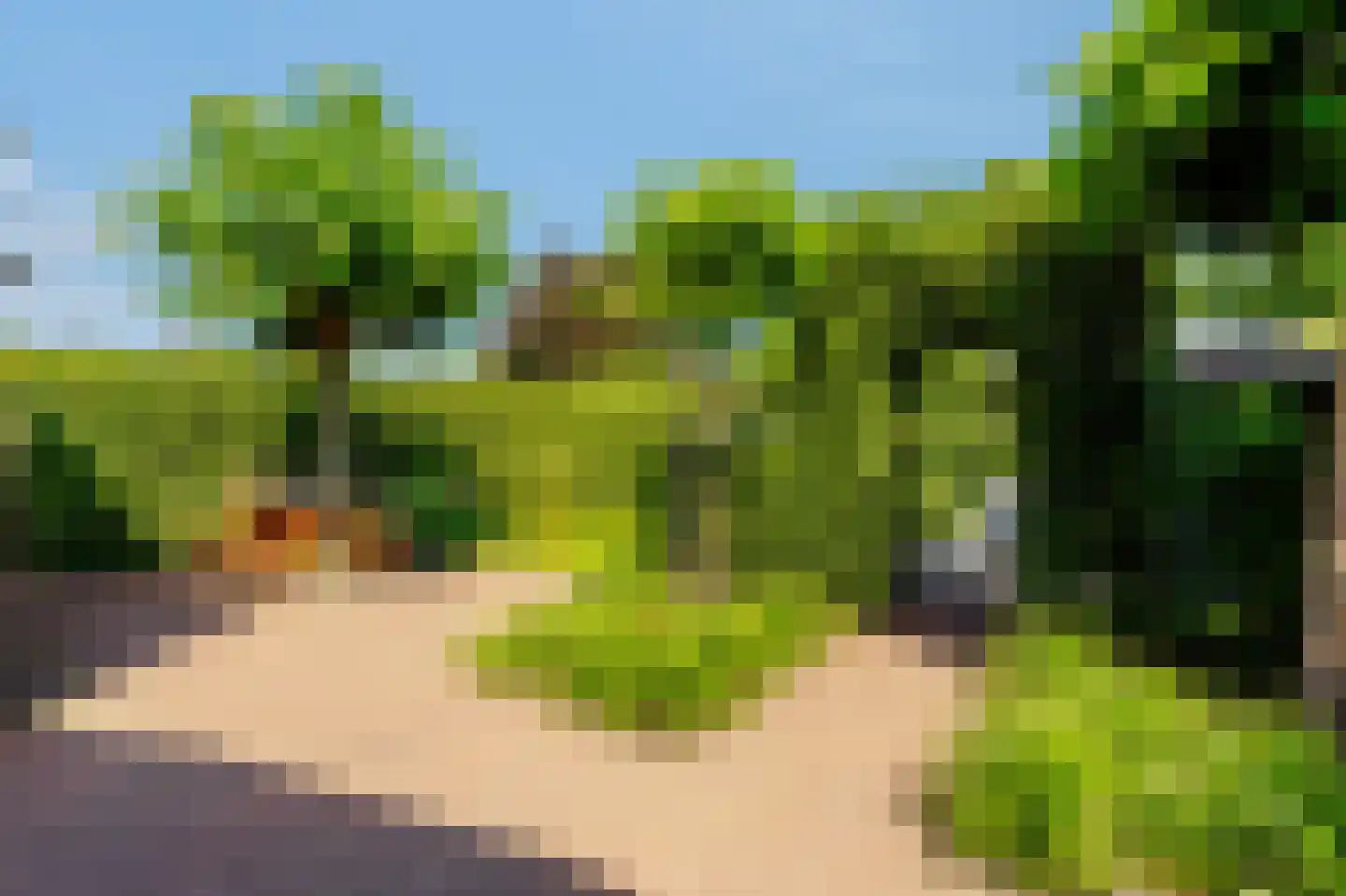 De Weitjes 8 Dalfsen thumbnail 44