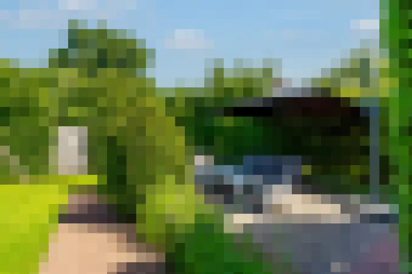 De Weitjes 8 Dalfsen thumbnail 45