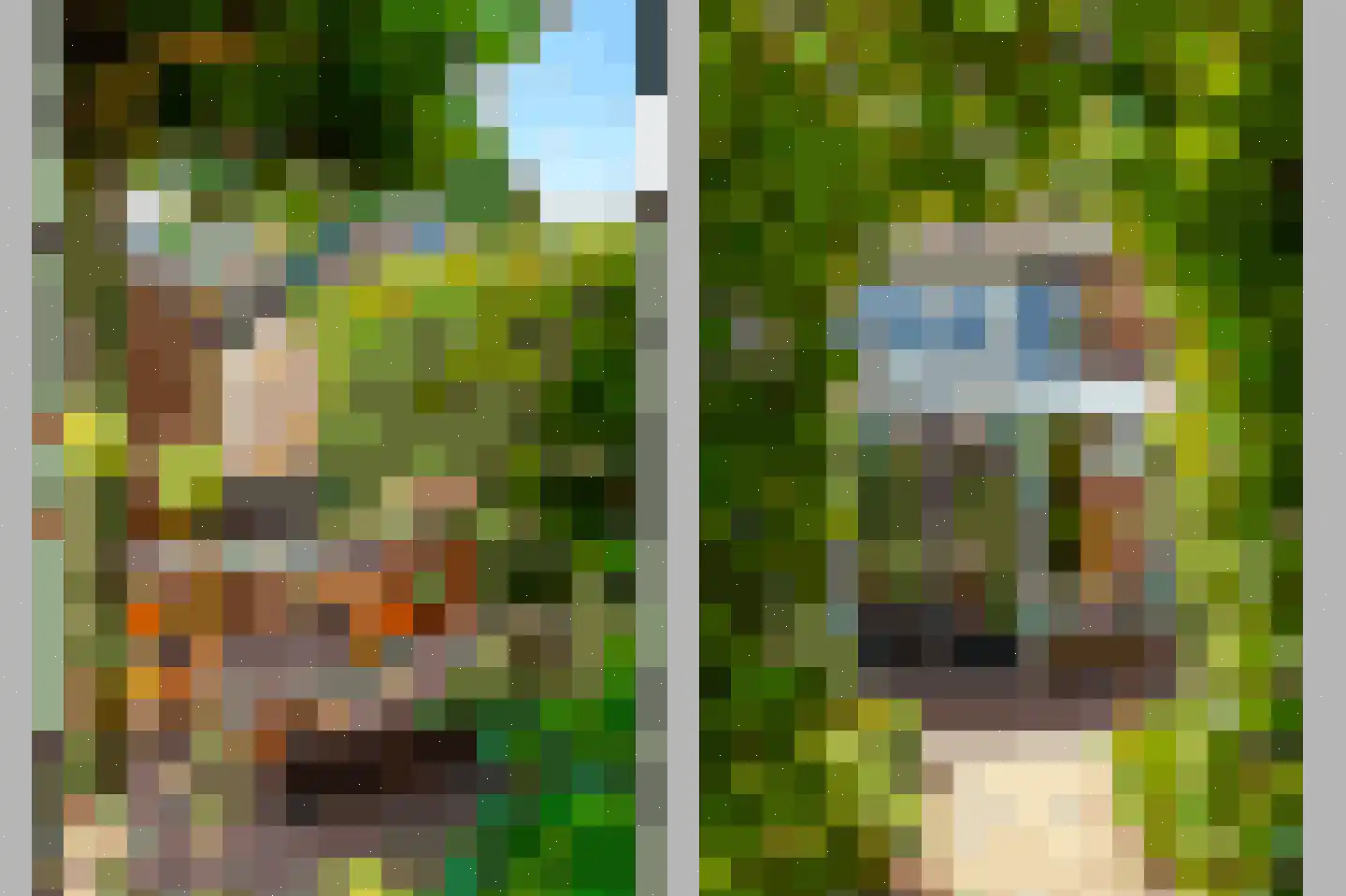 De Weitjes 8 Dalfsen thumbnail 46