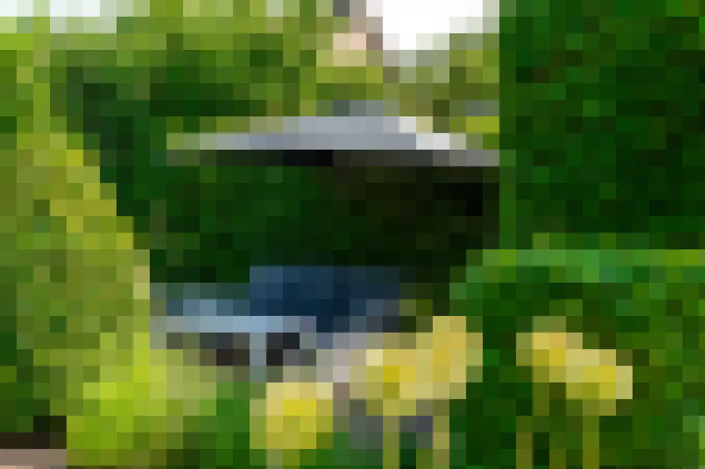 De Weitjes 8 Dalfsen thumbnail 49
