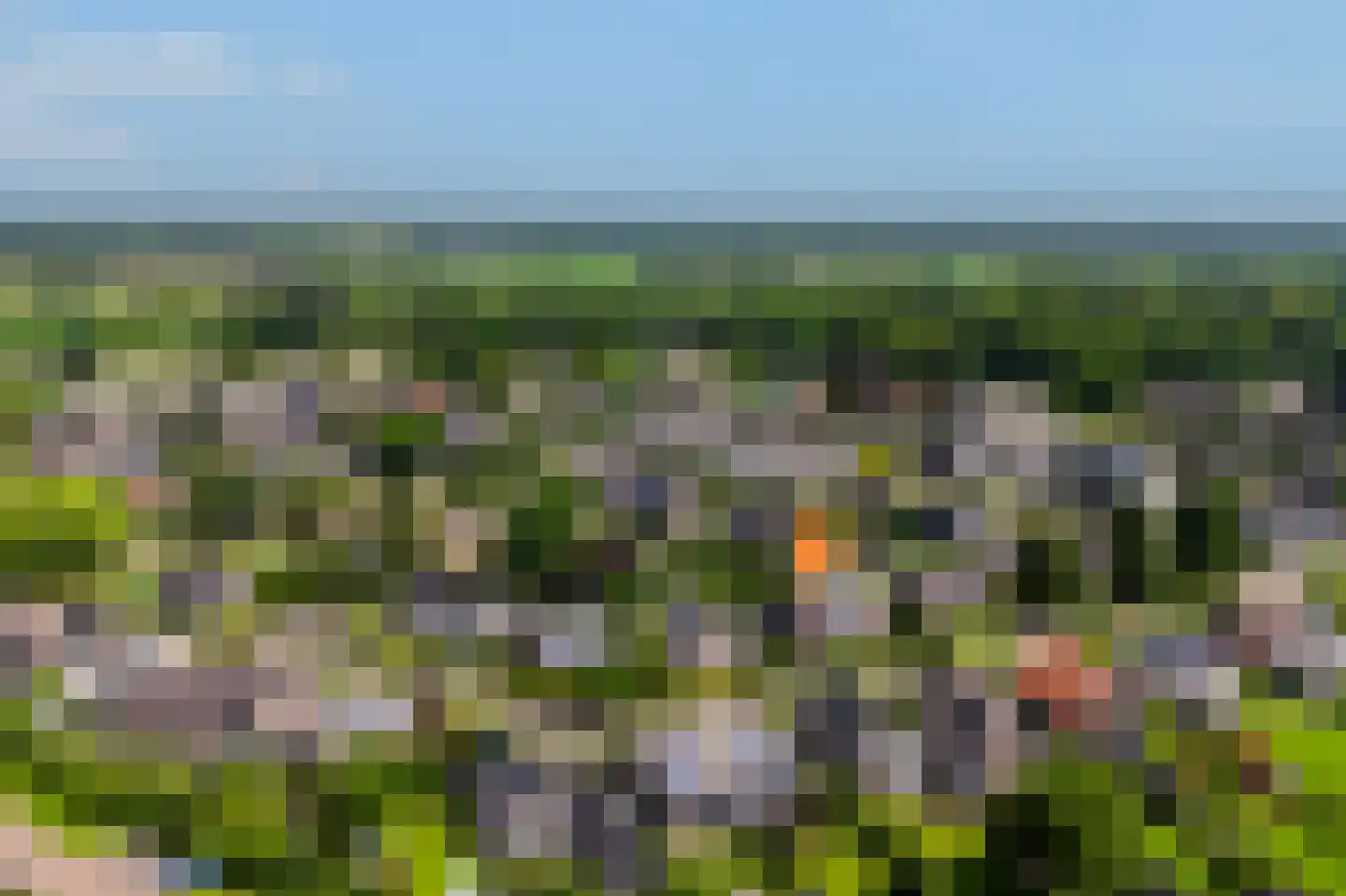 De Weitjes 8 Dalfsen thumbnail 52