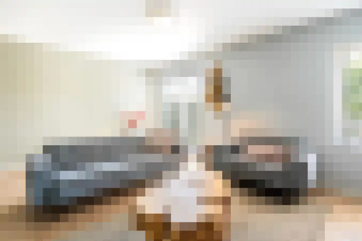 De Weitjes 8 Dalfsen thumbnail 9