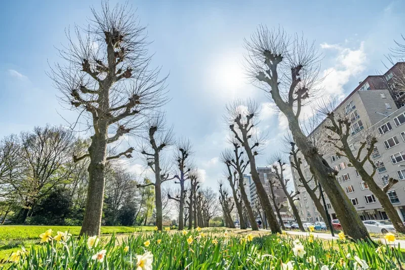 Kantoor foto van De Wekker Makelaardij Voorburg- Den Haag eo
