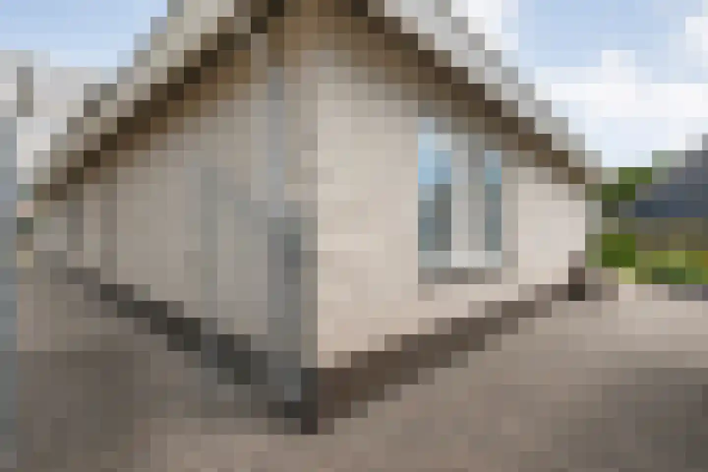 De Welhaak 2 Hoogeveen thumbnail 57