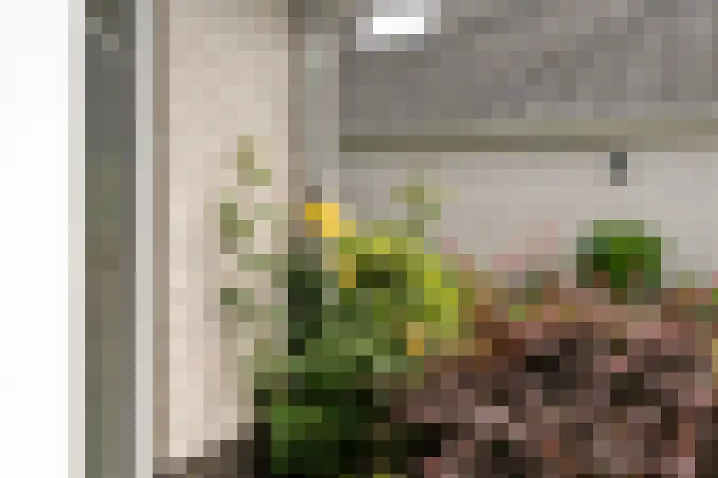 De Welhaak 2 Hoogeveen thumbnail 58