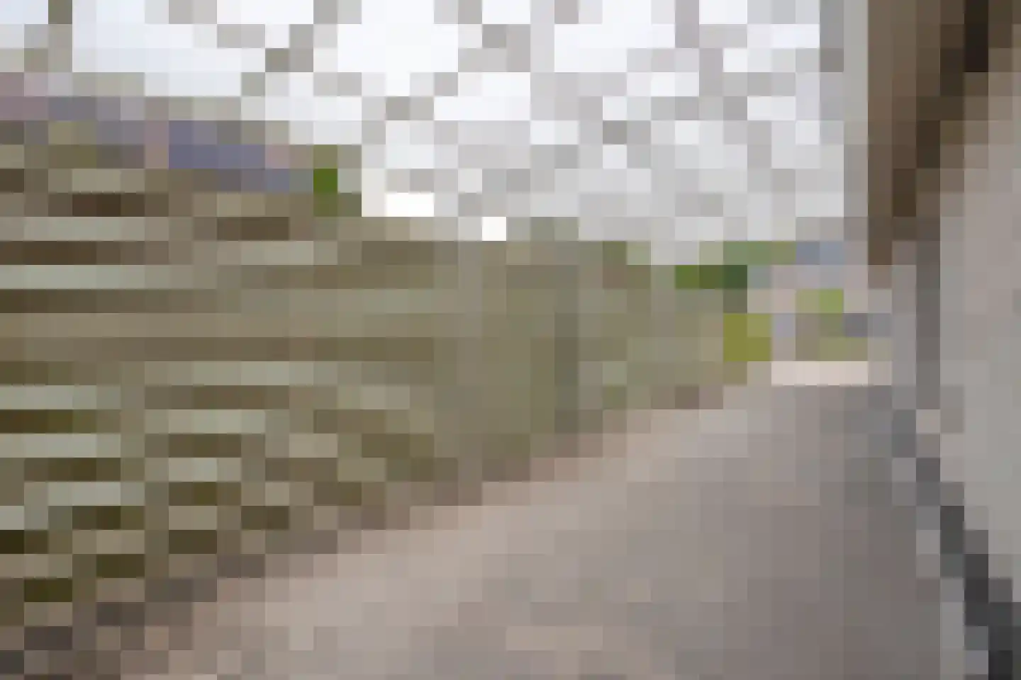 De Welhaak 2 Hoogeveen thumbnail 61