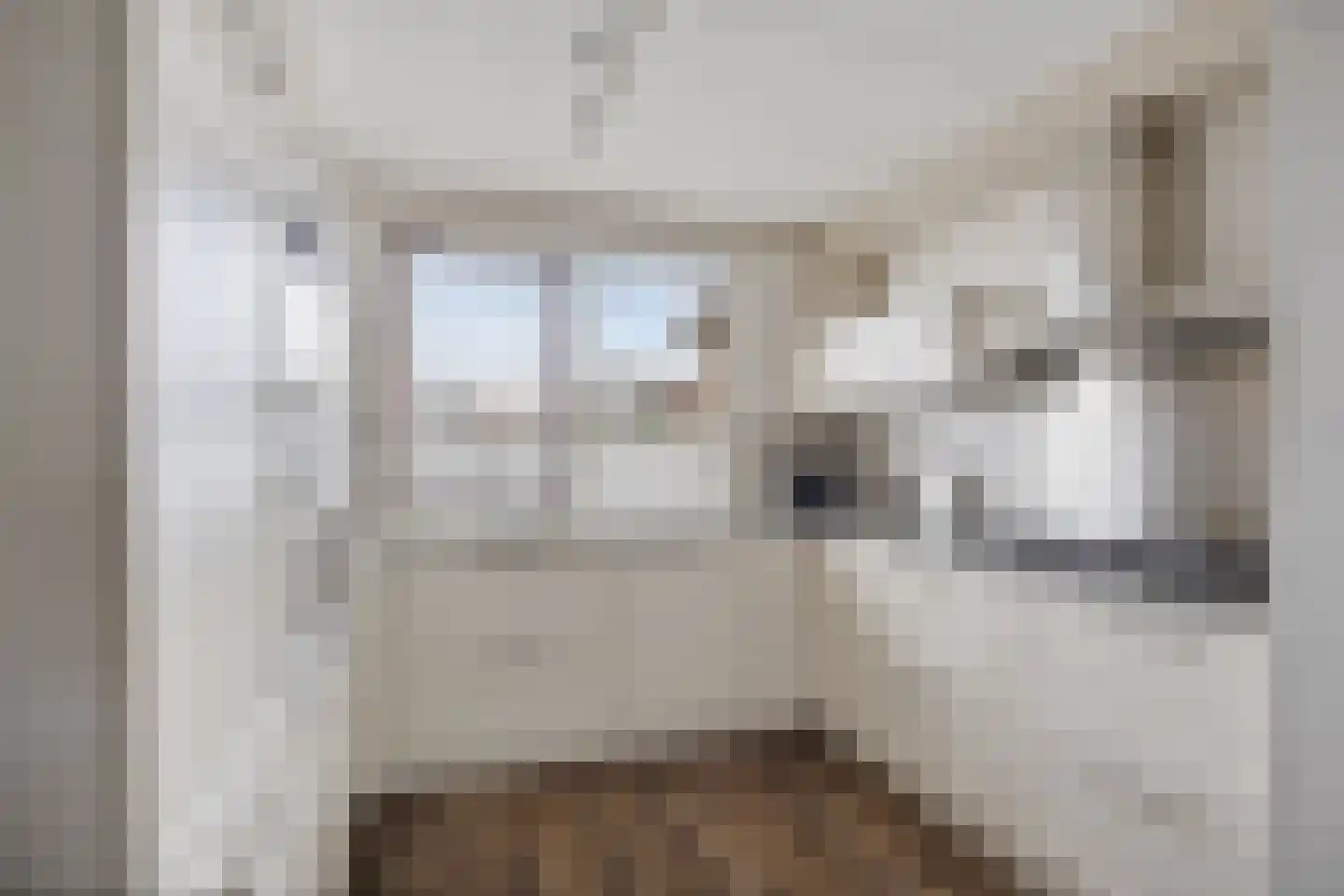 De Welhaak 32 Erica thumbnail 12