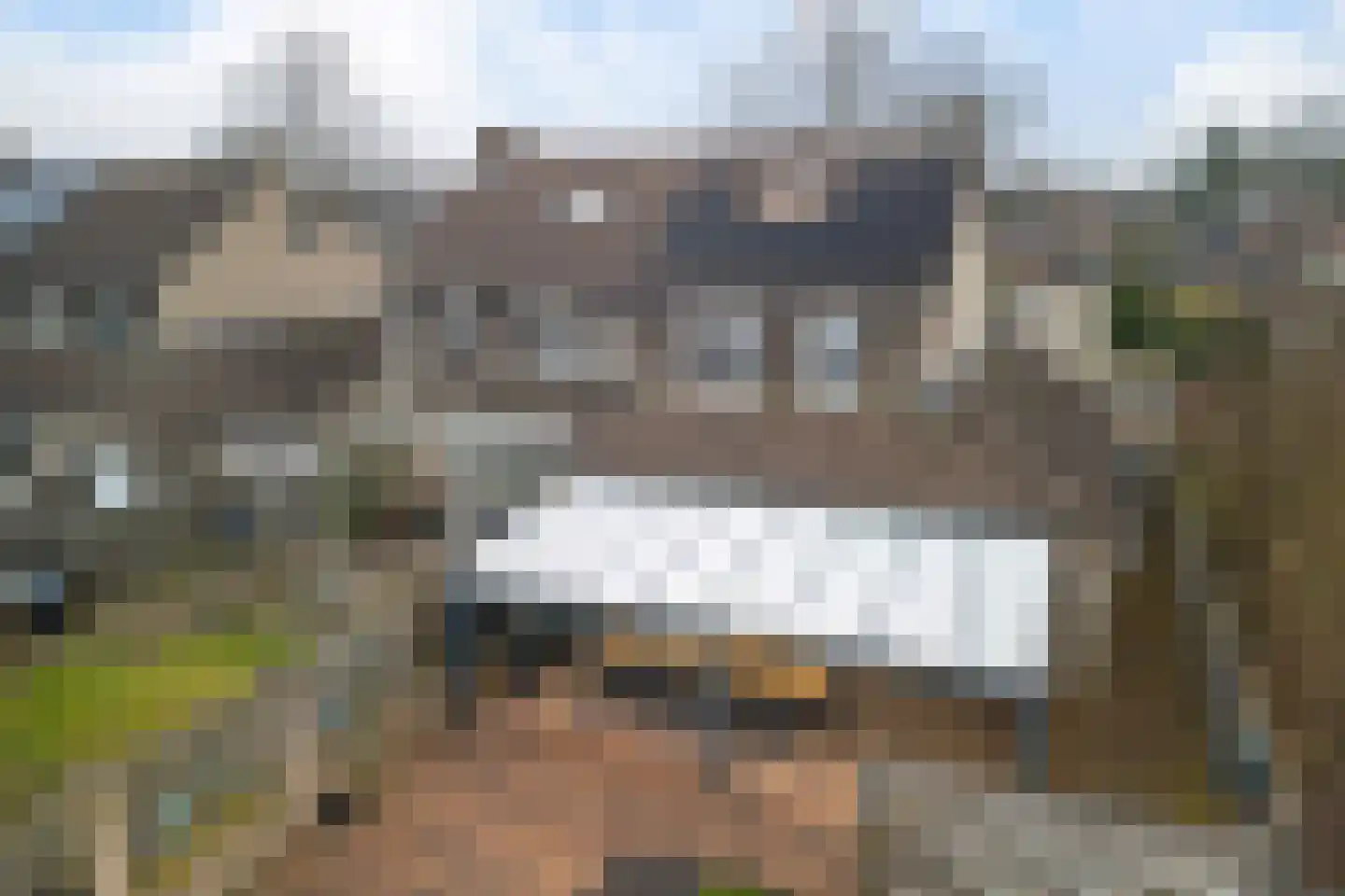 De Welhaak 32 Erica thumbnail 31